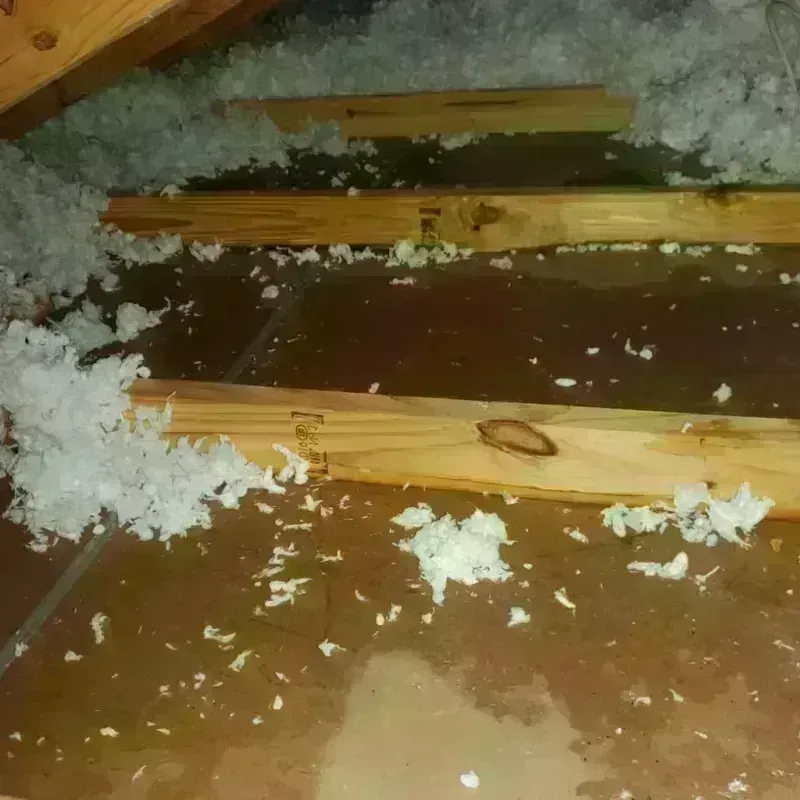 Attic Water Damage in North Richland Hills, TX